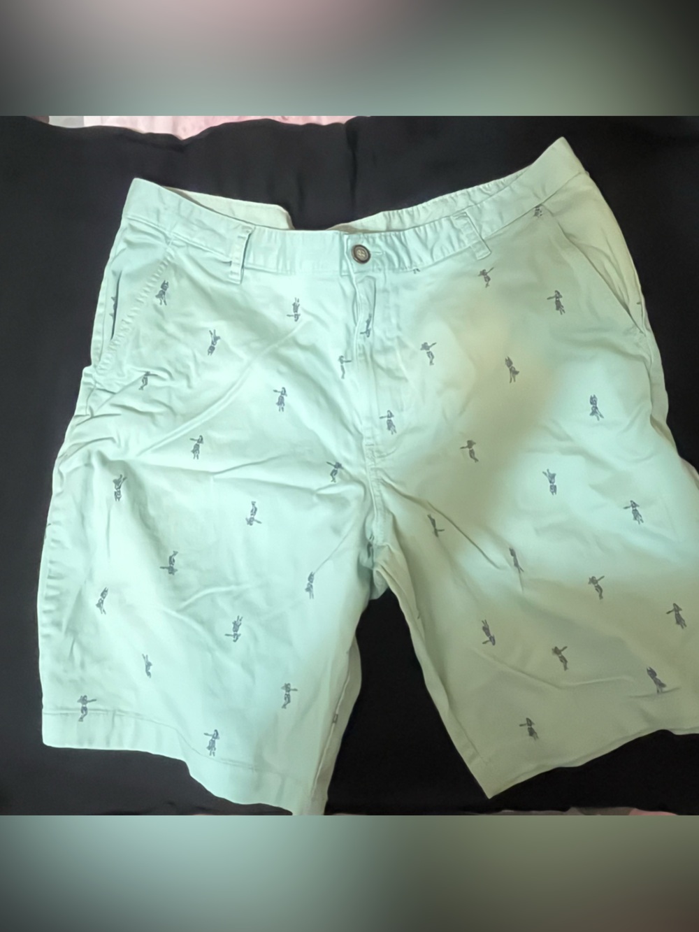 George Mint Green Casual Men's Shorts with Embroidered Detail